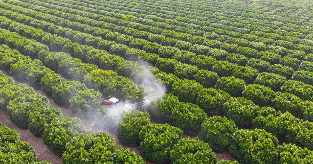 US objectives to reinstate chlorpyrifos insecticide ban | Enterprise